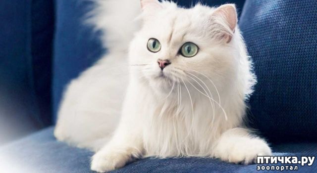 ���� 1: ������������ ������ - ������ ����)))