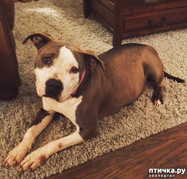 ���� 3: ��� ���� � ��������)