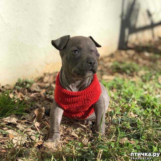 ���� 4: ��� ���� � ��������)