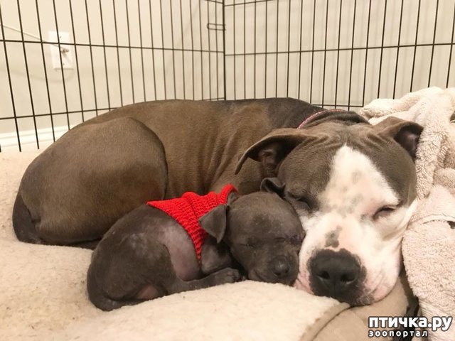 ���� 6: ��� ���� � ��������)