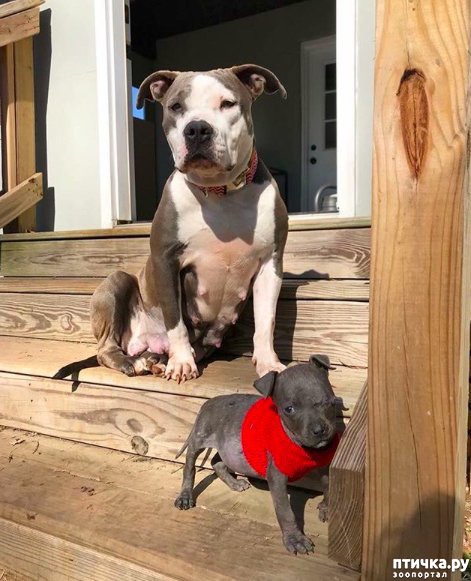 ���� 8: ��� ���� � ��������)