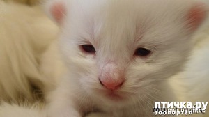 ����: ������ ��������! �����������))