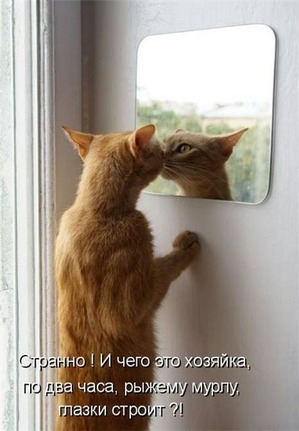 ����: ����� � �������)))