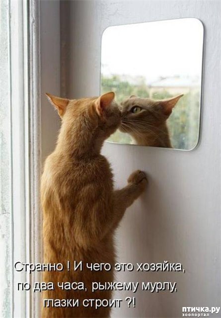 ���� 1: ����� � �������)))