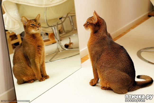 ���� 3: ����� � �������)))