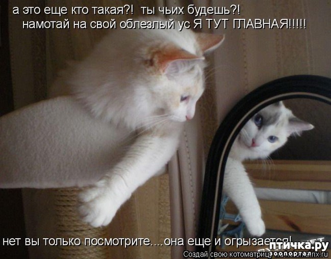 ���� 5: ����� � �������)))