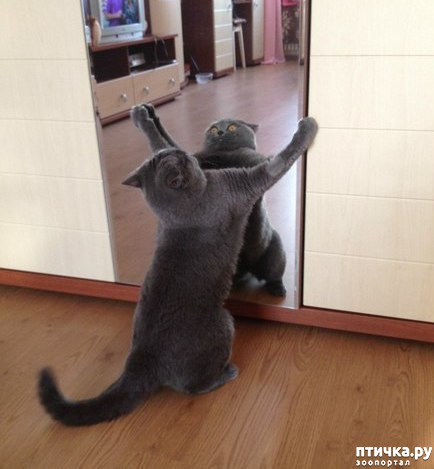 ���� 10: ����� � �������)))