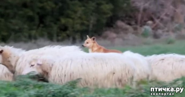 ���� 1: ����� ���������� �������� ������))) 