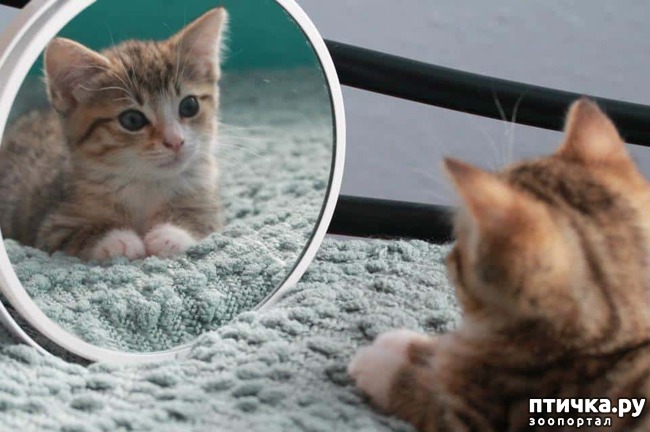 ���� 14: ����� � �������)))