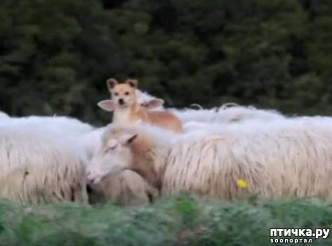 ���� 2: ����� ���������� �������� ������))) 