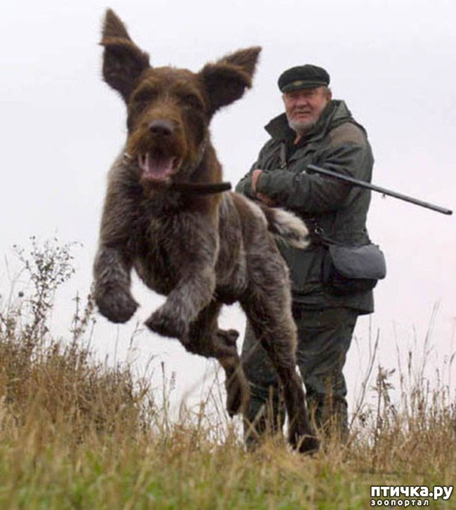 ���� 3: ���� �� ������� (���������� ��� ������)