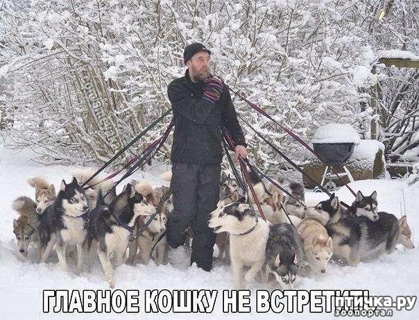 ���� 1: ����� �����