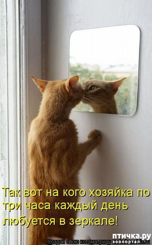 ����: ��������� �����������: ����� � �������!