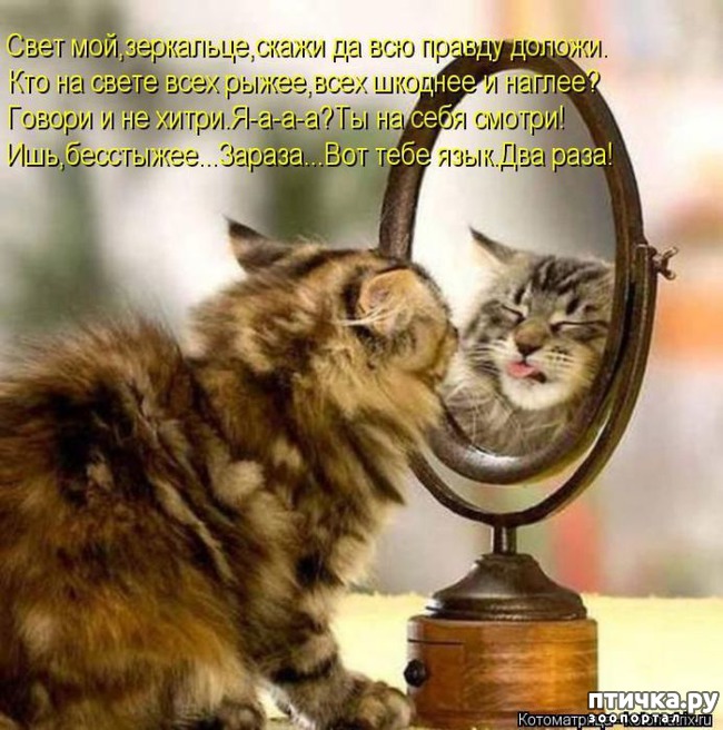 ���� 2: ��������� �����������: ����� � �������!