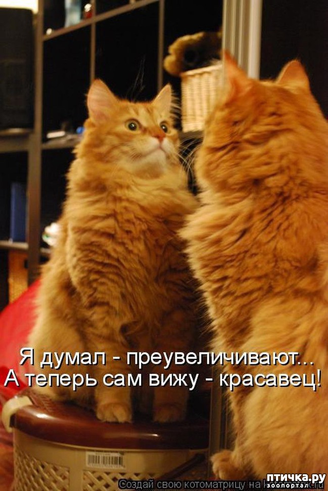 ���� 3: ��������� �����������: ����� � �������!