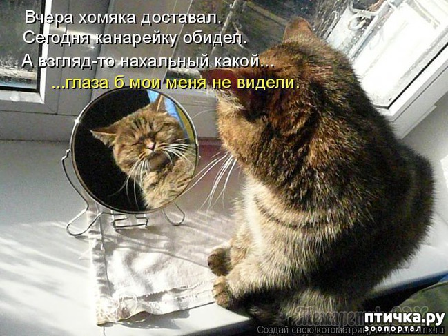 ���� 4: ��������� �����������: ����� � �������!