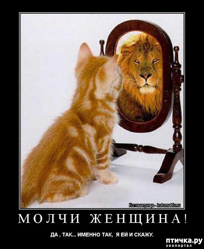 ���� 5: ��������� �����������: ����� � �������!