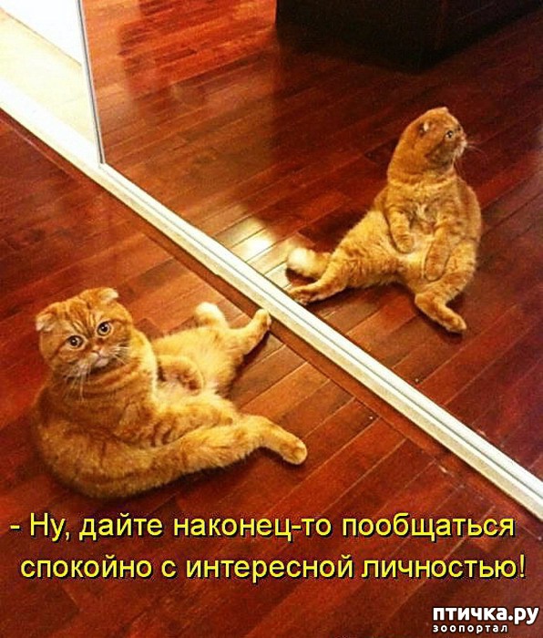 ���� 6: ��������� �����������: ����� � �������!