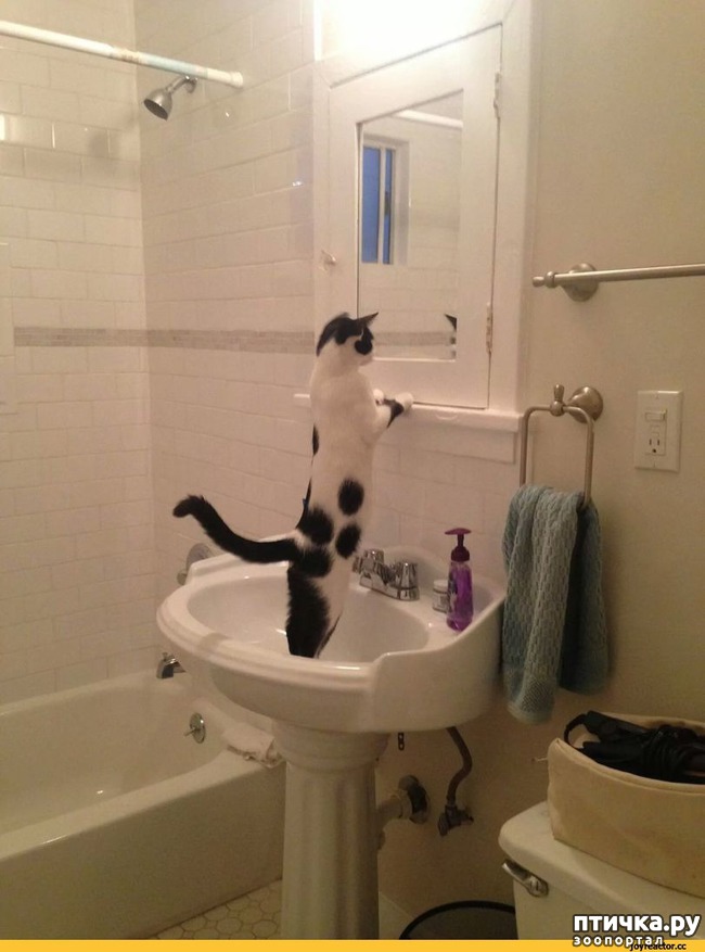 ���� 7: ��������� �����������: ����� � �������!