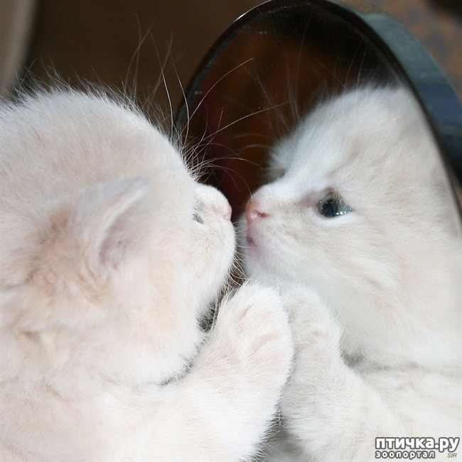 ���� 8: ��������� �����������: ����� � �������!