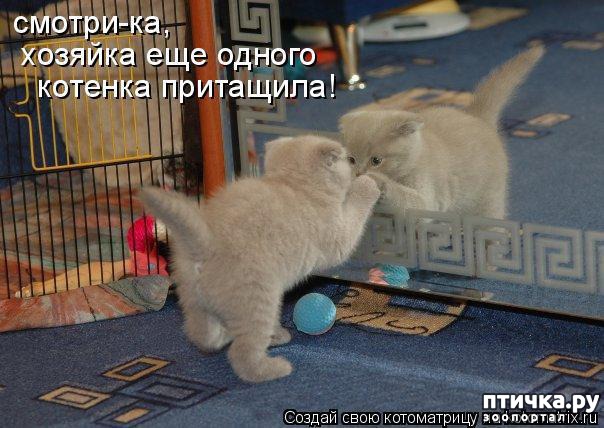 ���� 9: ��������� �����������: ����� � �������!