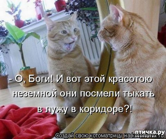 ���� 11: ��������� �����������: ����� � �������!