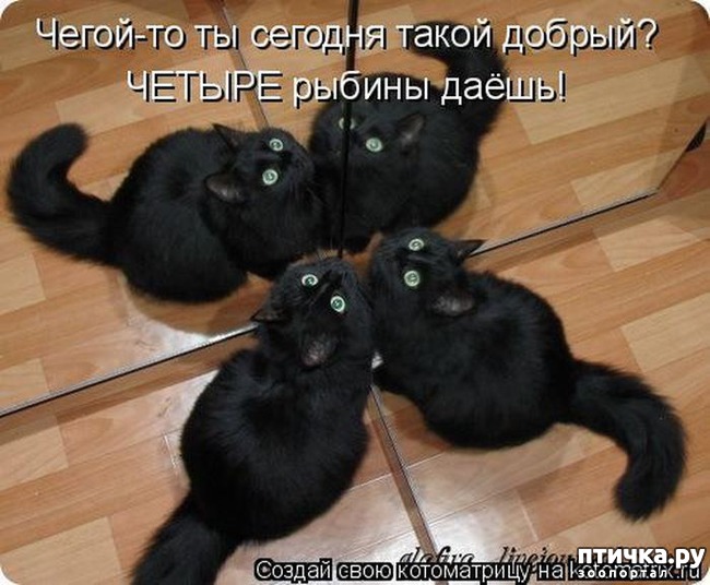 ���� 12: ��������� �����������: ����� � �������!