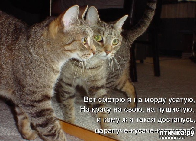 ���� 13: ��������� �����������: ����� � �������!