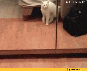 ���� 15: ��������� �����������: ����� � �������!