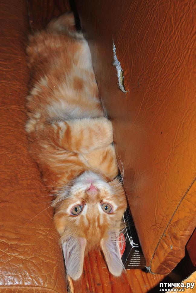 ���� 13: �����������, �� ���������� ������)))