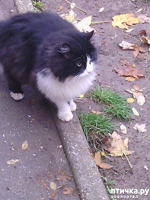 ����: � ������, ������� ��������... ������ �������������