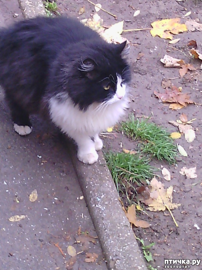 ���� 1: � ������, ������� ��������... ������ �������������