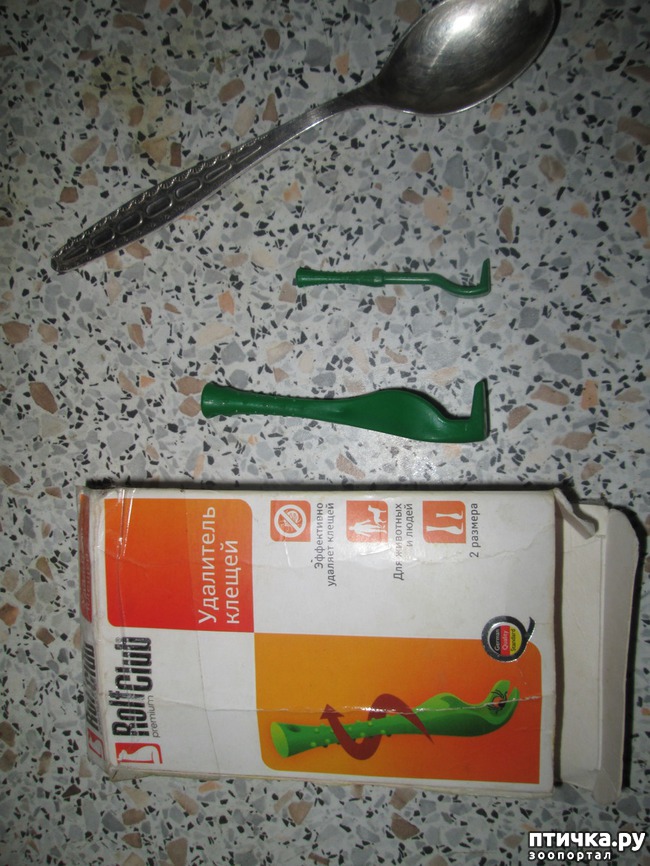 ���� 1: ����������