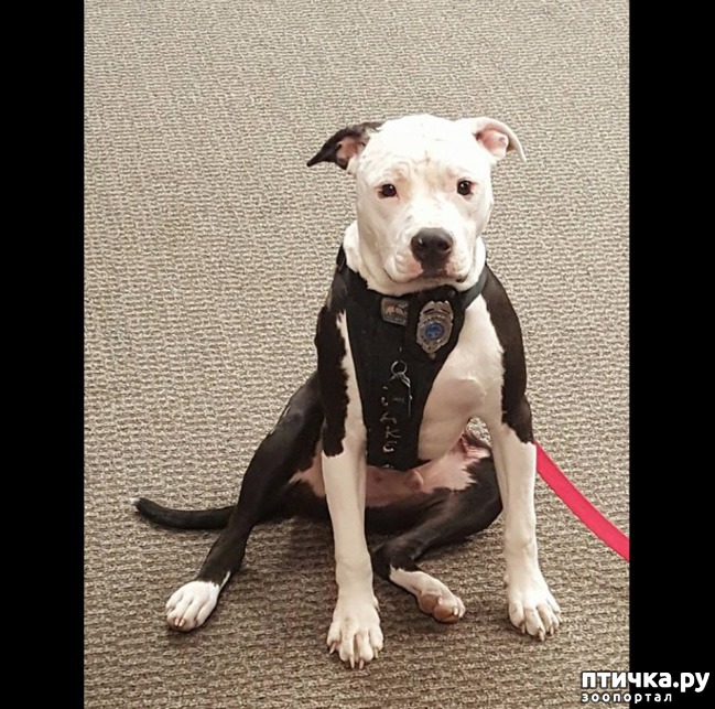 ���� 7: ��� ����� ���� �������� �������