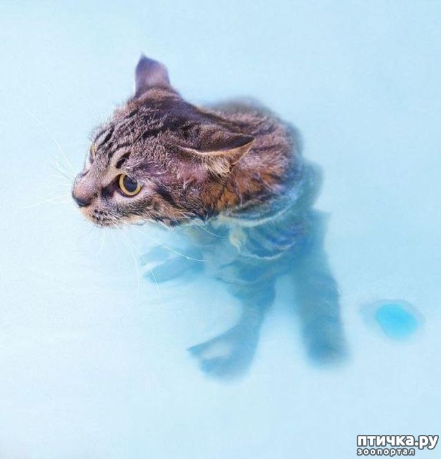 ���� 2: ������ ����� ������ ����