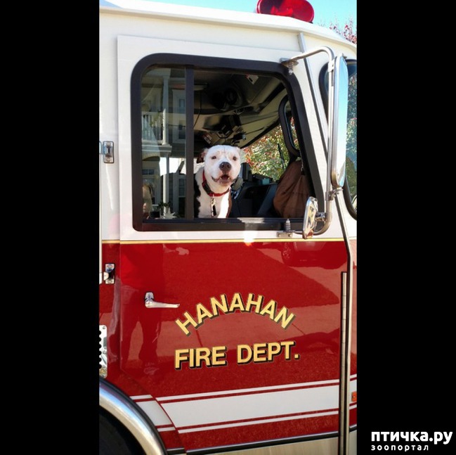 ���� 8: ��� ����� ���� �������� �������