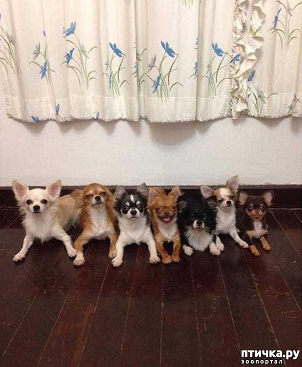 ���� 1: ������� ������� �������� � �� ��������� 