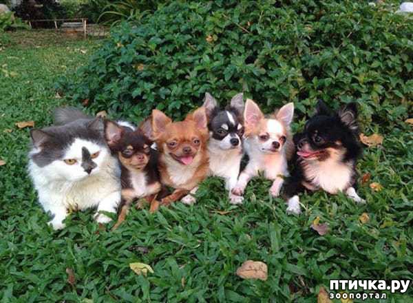 ���� 2: ������� ������� �������� � �� ��������� 