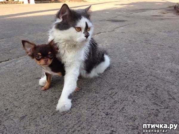 ���� 4: ������� ������� �������� � �� ��������� 