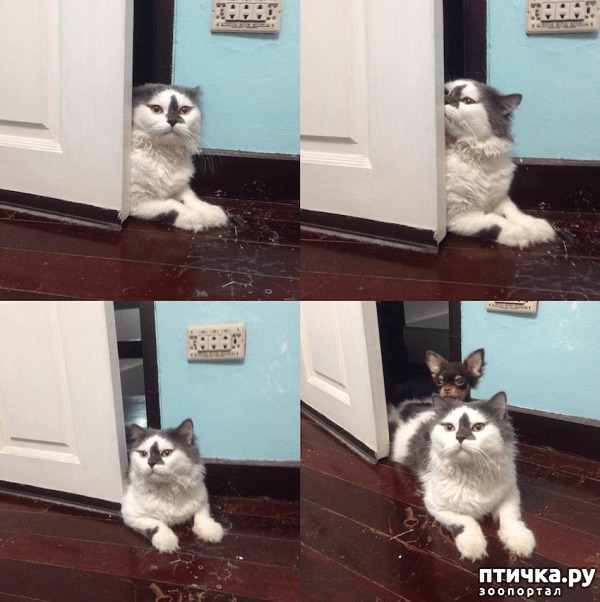 ���� 5: ������� ������� �������� � �� ��������� 