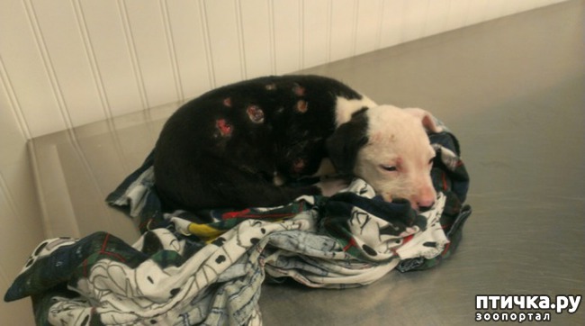 ���� 1: ��� ����� ���� �������� �������