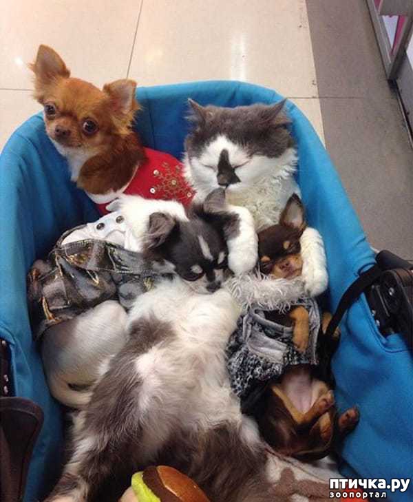 ���� 6: ������� ������� �������� � �� ��������� 