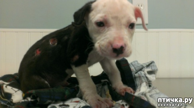 ���� 2: ��� ����� ���� �������� �������