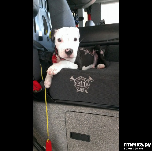 ���� 5: ��� ����� ���� �������� �������