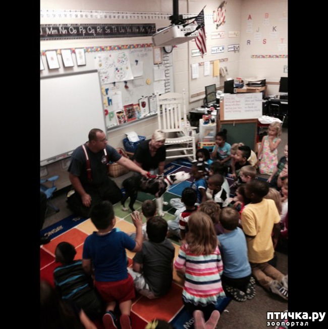 ���� 6: ��� ����� ���� �������� �������