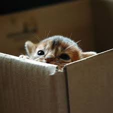 ���� 2: ������ ����� ����� �������? ������� ��������� ������.