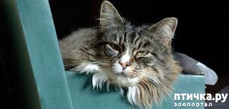 ���� 3: ������ ����� ����� �������? ������� ��������� ������.