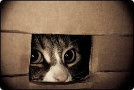 ���� 5: ������ ����� ����� �������? ������� ��������� ������.