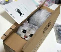 ���� 6: ������ ����� ����� �������? ������� ��������� ������.