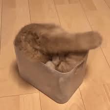 ���� 8: ������ ����� ����� �������? ������� ��������� ������.